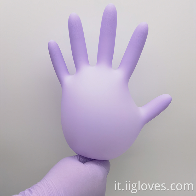 100 pezzi confezionano i guanti di nitrile viola di laboratorio di grado premium popolari per l'industria alimentare